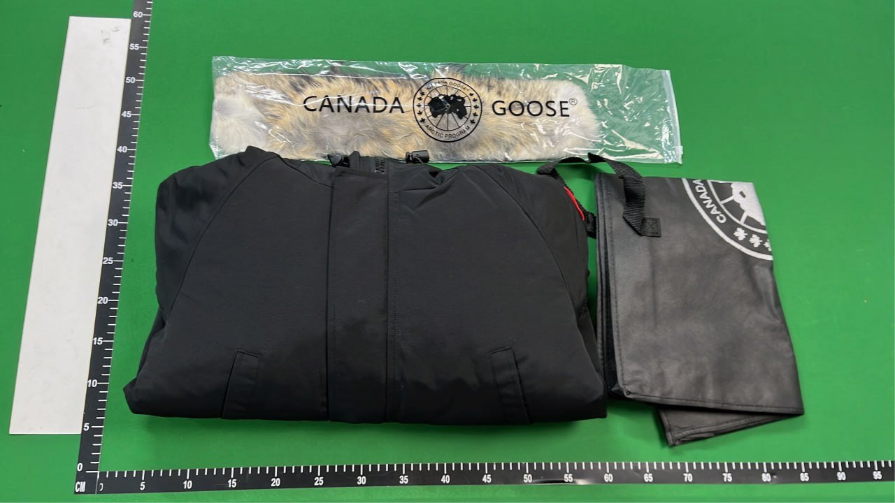 Canada Goose Down Jacket -2
