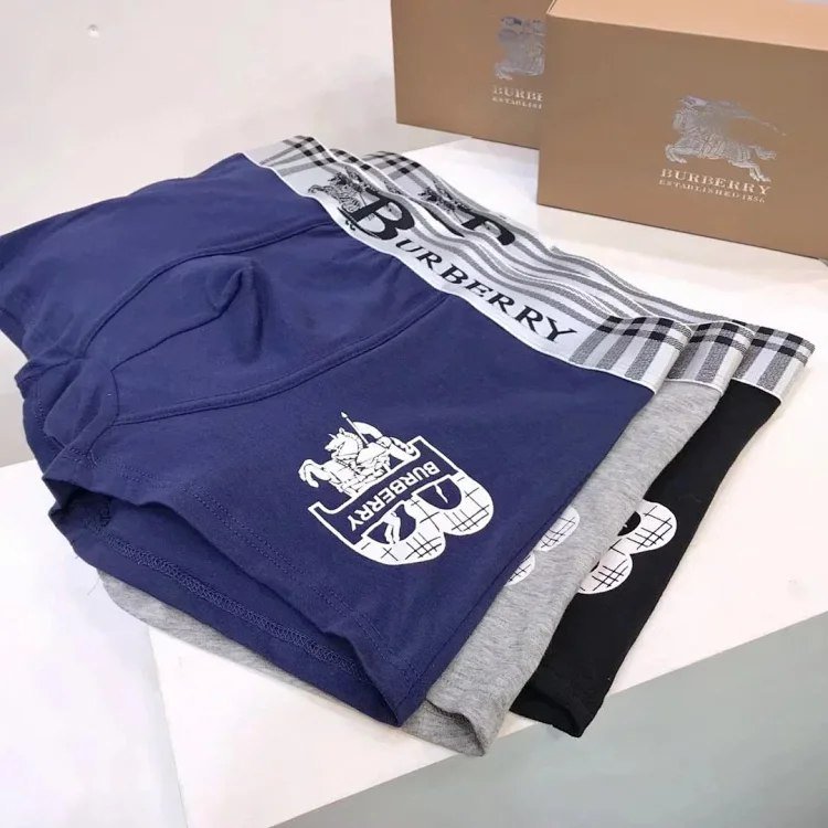 Burberry Check Logo Boxer Briefs [6 styles] -2