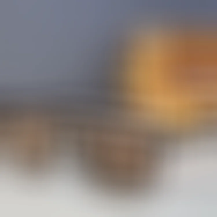 Louis Vuitton Monogram Shield 