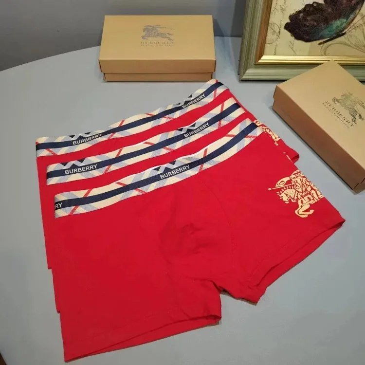 Burberry Warhorse Logo Boxer Briefs [3 styles] -2