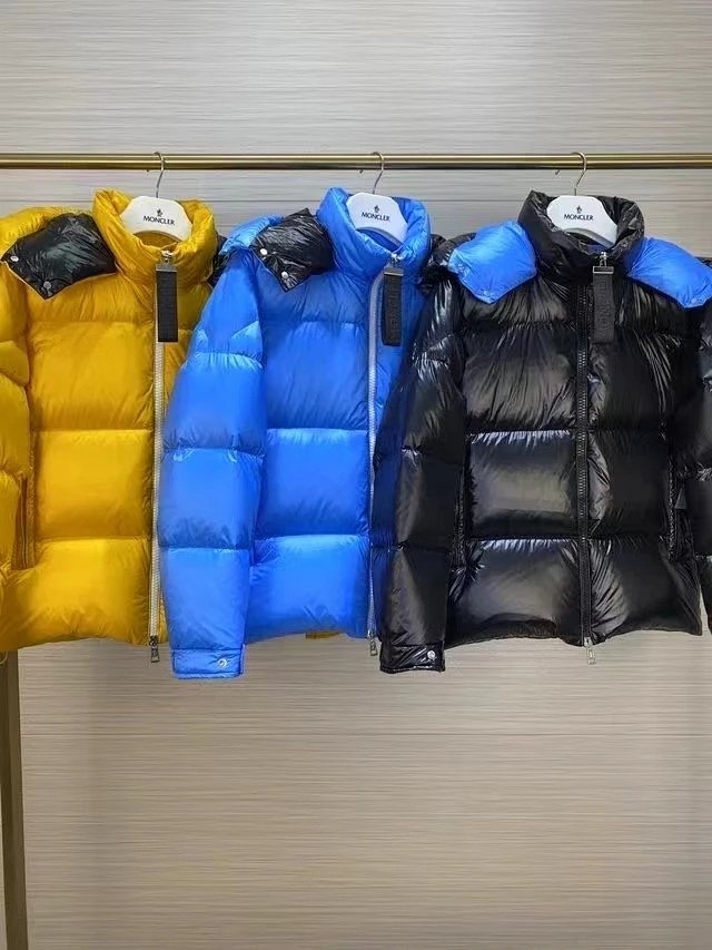 2025 high quality down jacket -2