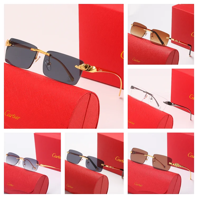 Cartier sunglasses (40+)