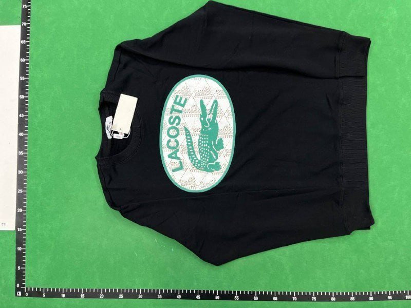 Lacoste Hoodie -2
