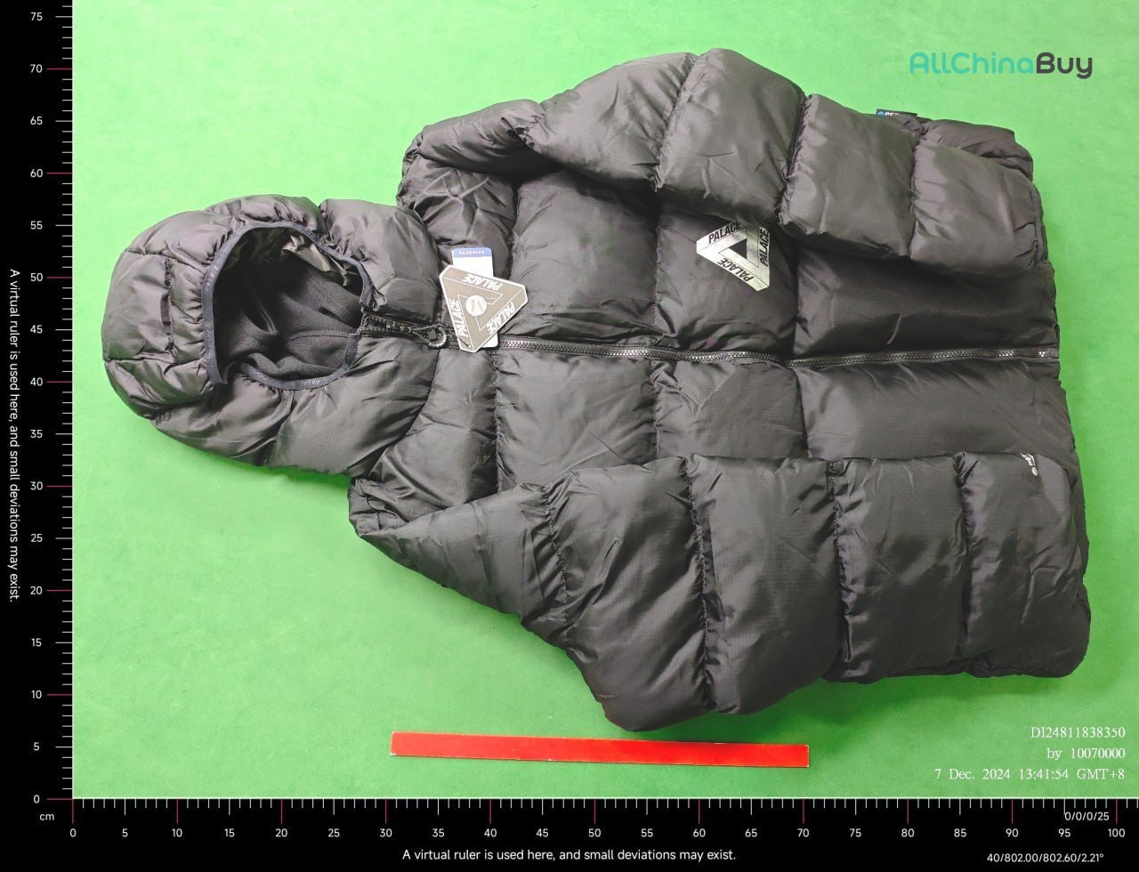 Palace down jacket -4