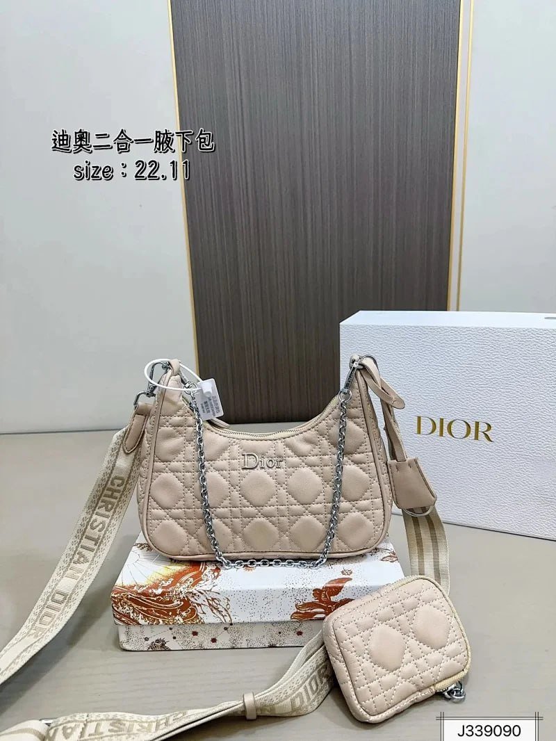 Dior bags -3