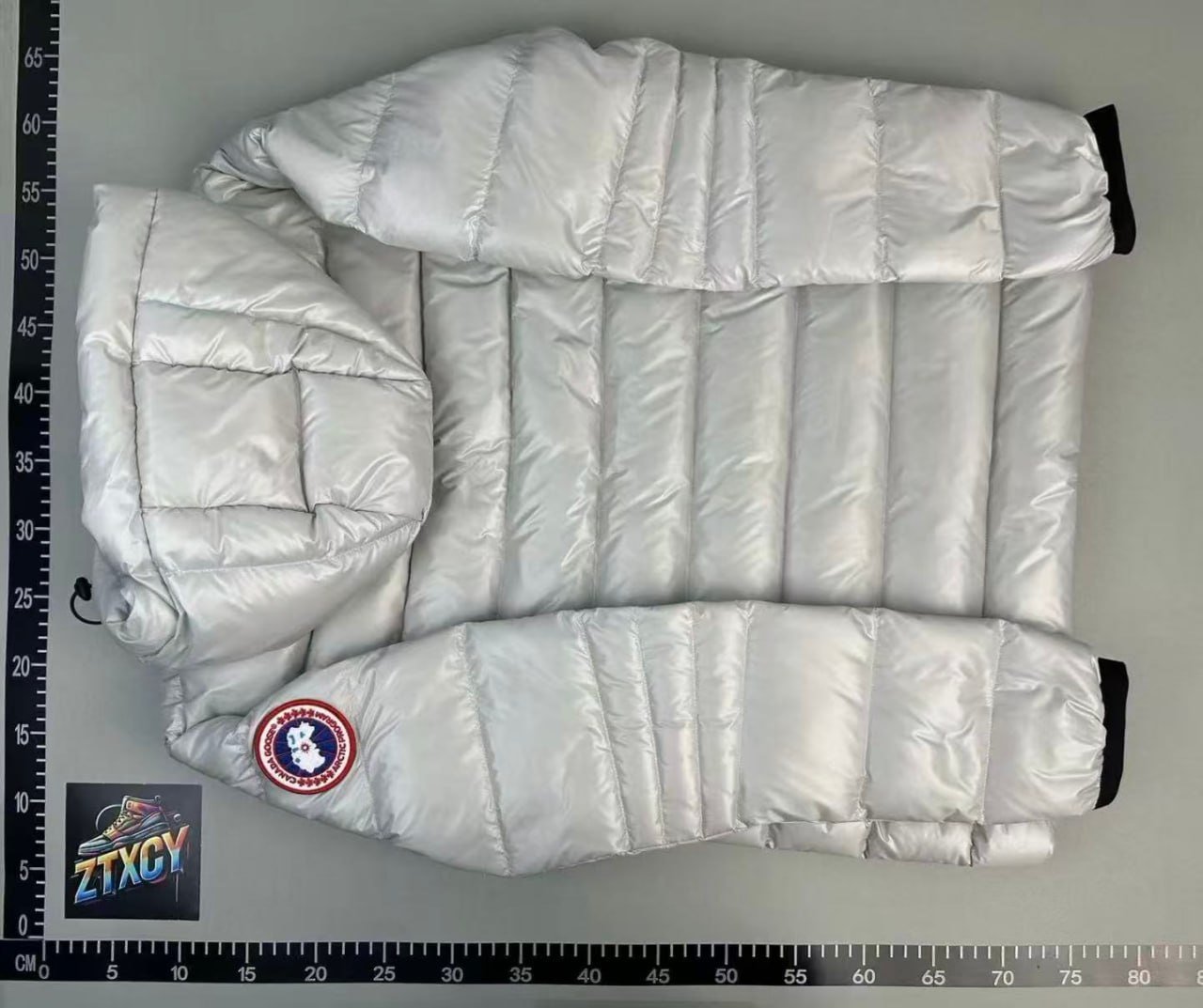 Canada Goose down jacket -3