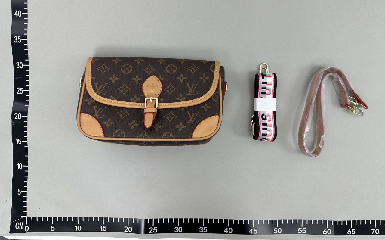 Louis Vuitton Bag -2