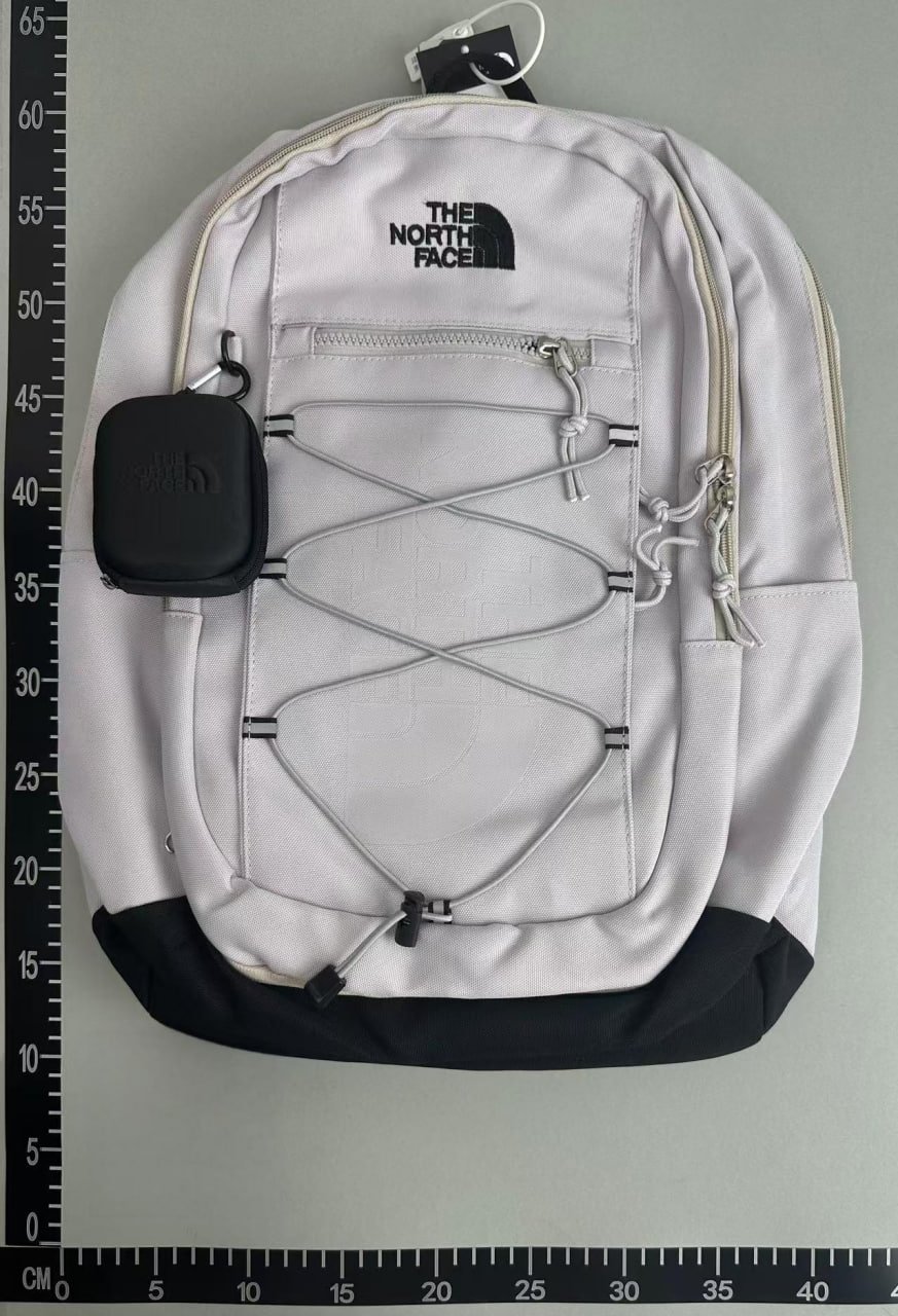 The North Face Backpack -2