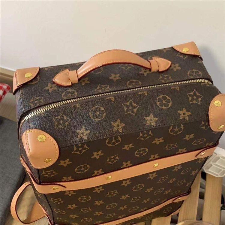 LV backpack                                 -3