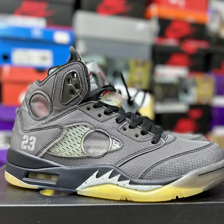  Air Jordan 5 Sneakers [9 styl