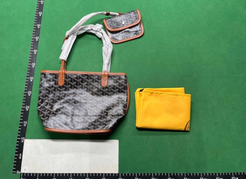 Goyard Tote Bag -4
