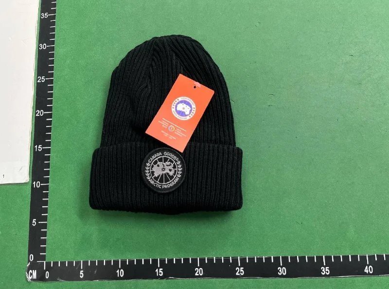 Canada GooseDSQ2 Beanie（38+ Styles） -2