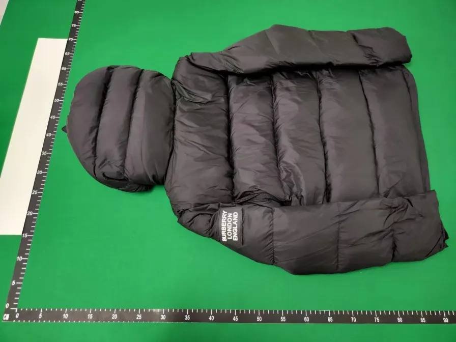 Goose & Burberry  down jacket -4