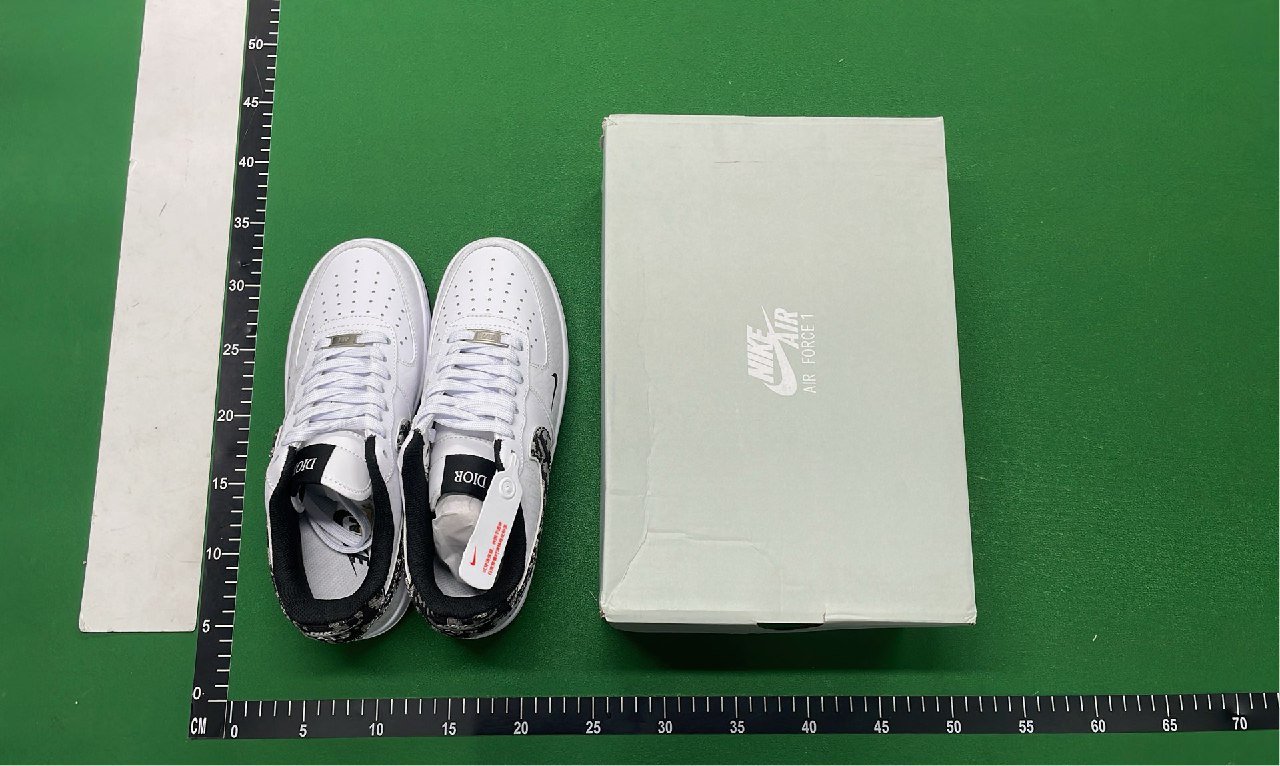 NIKE x DIOR shoes -2