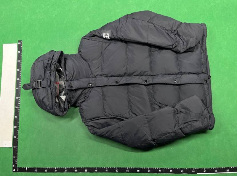  Designer down jacket -3