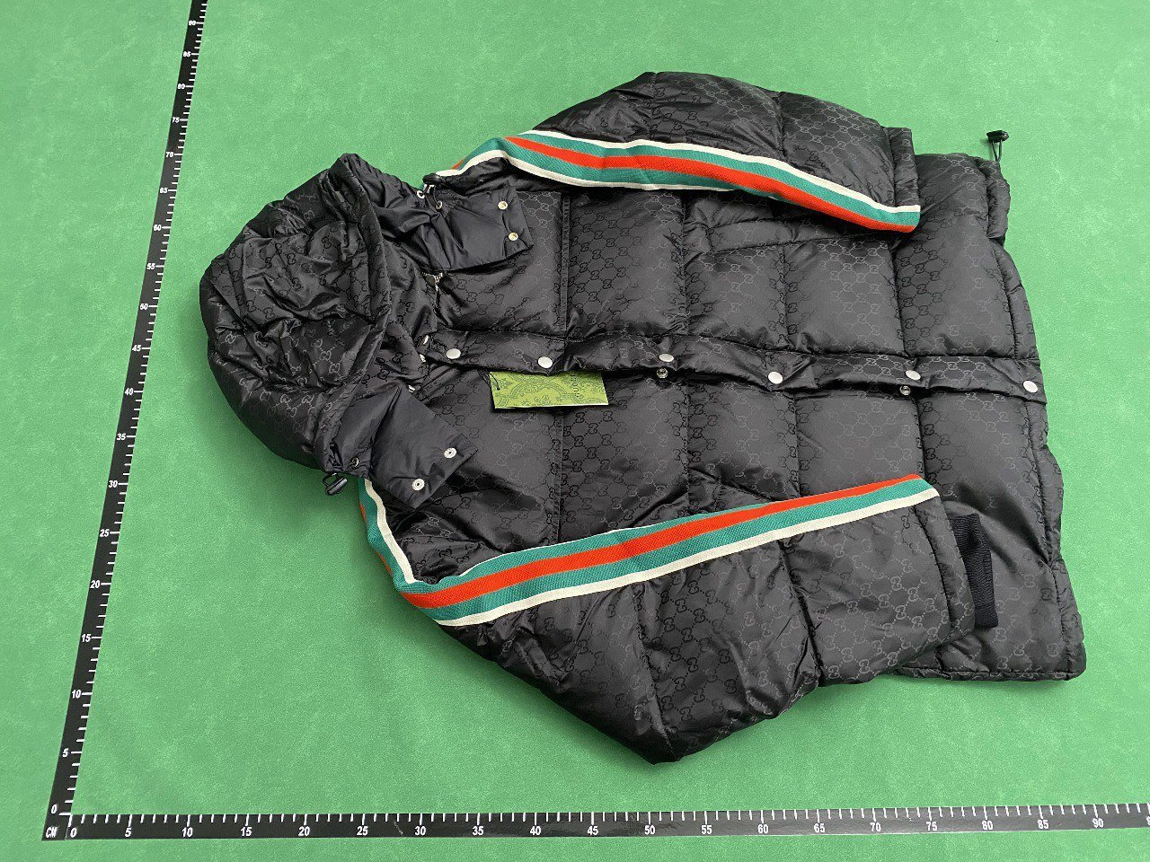  Designer down jacket -3