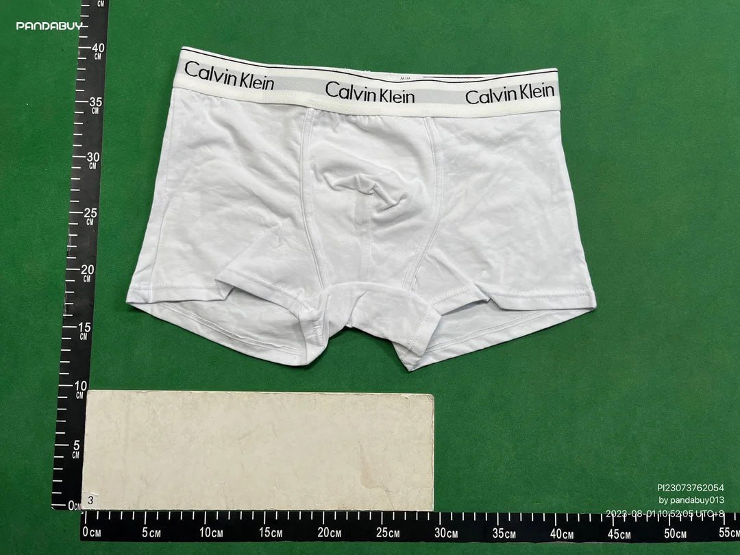 CK Underwear(30 styles) -3