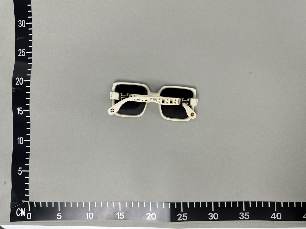 Hermes SunGlasses -3