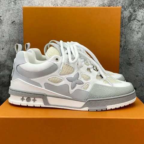 Louis Vuitton Skate Low White 