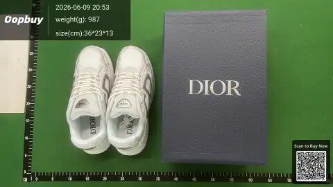 Dior B25 Printed Sneakers -3