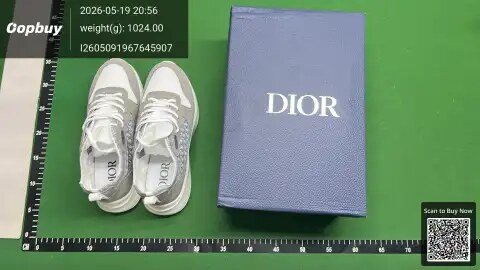 Dior B25 Printed Sneakers -4