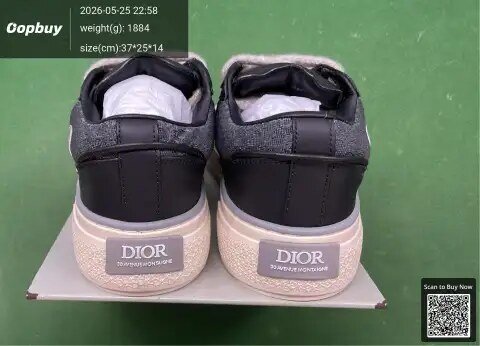 Dior B33 Sneakers -3