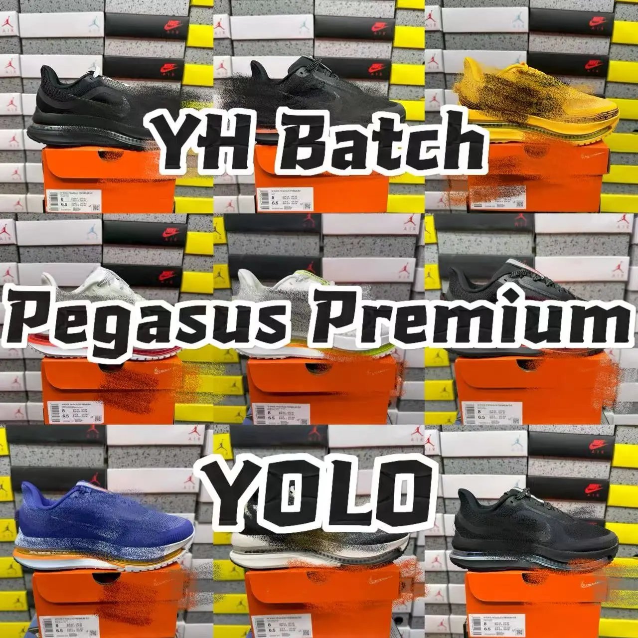 【YH version】Pegasus Premium