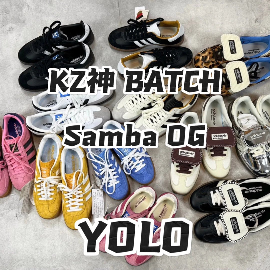 【KZ Divine Edition】 Link 1 AD 