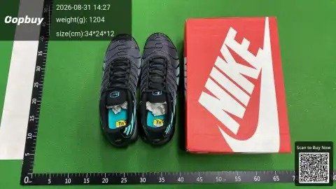 【DF version】Air Max Plus tn -6