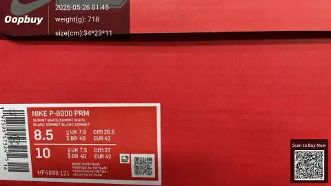 Z Batch P-6000 Running Shoes Collection -3