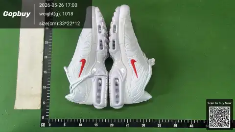 KO Batch Sup x Air Max TN -1