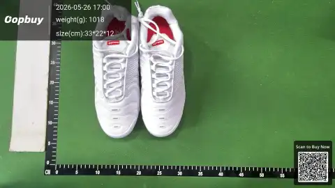 KO Batch Sup x Air Max TN -2