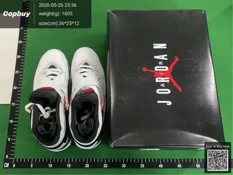 DG 2.0 Batch Jordan 8 Series Collection -3