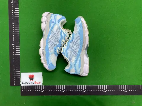WZ Batch GEL-NYC -1