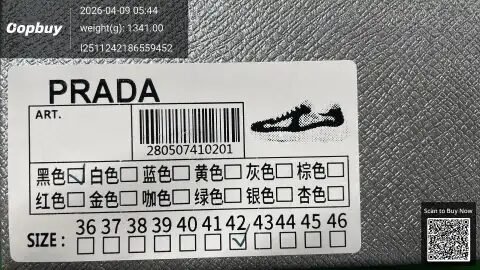 GZ Batch America's Cup Casual Sneakers Sizes 35-48 -2