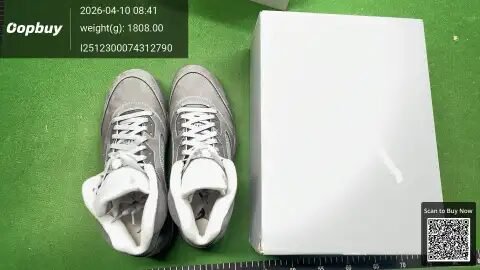 LJR Batch Jordan 5 -1