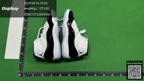 DGT Batch Air Jordan 11 Special Offer -2
