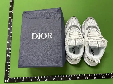 Dior B22 NEO Sneakers -2