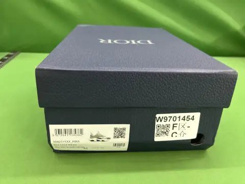 Dior B22 NEO Sneakers -3