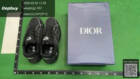 Dior B30 Mesh Sneakers -2