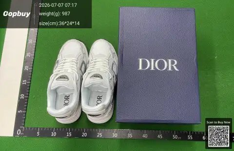 Dior B30 Mesh Sneakers -1