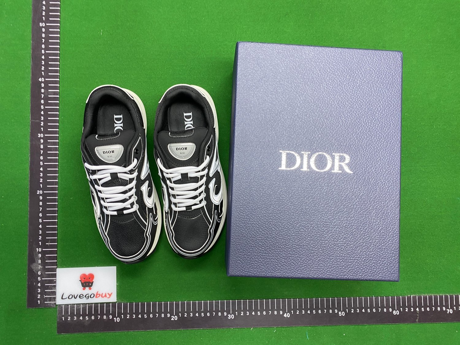 Dior B30 DG Batch Collection -2