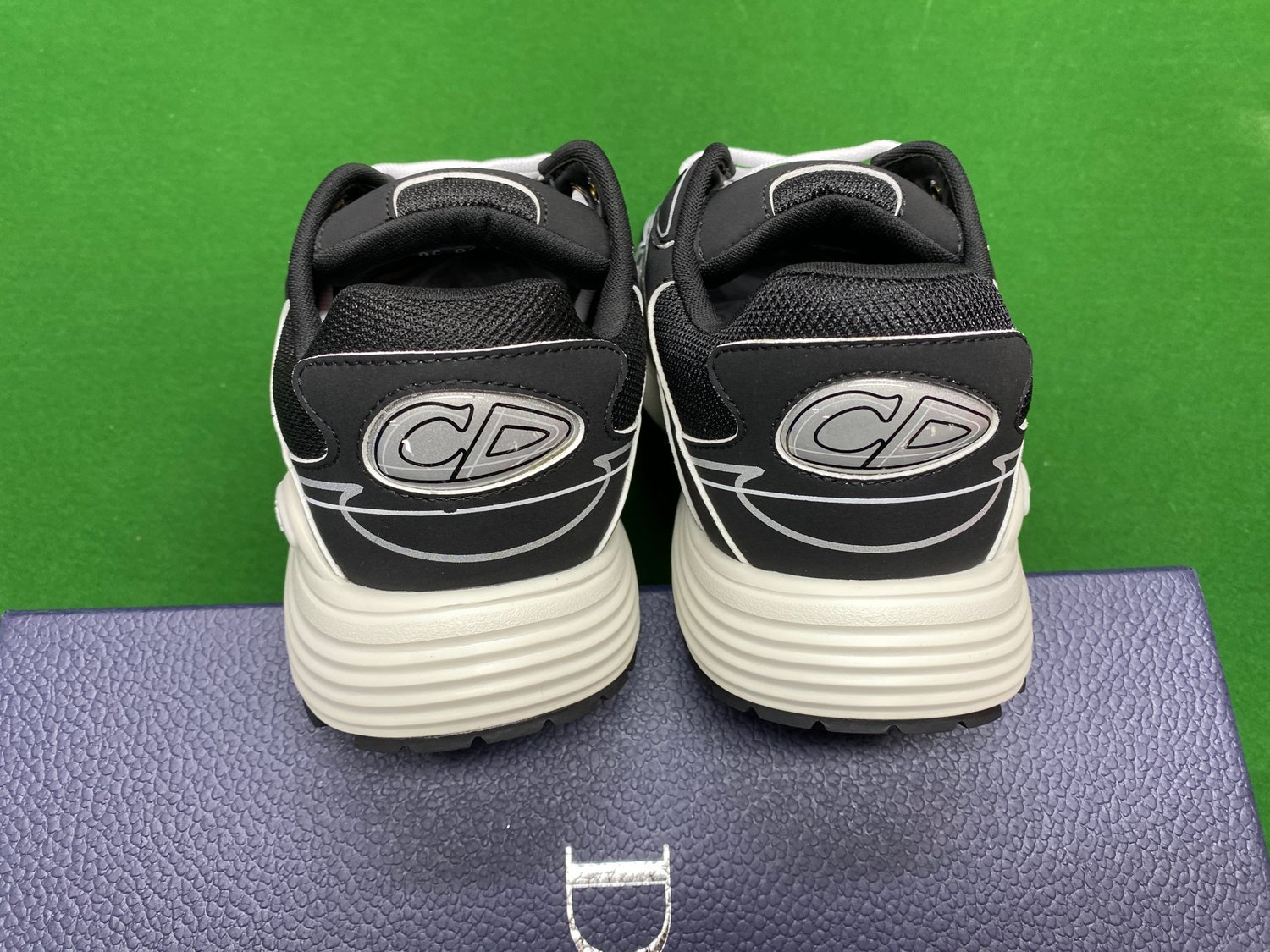 Dior B30 DG Batch Collection -5
