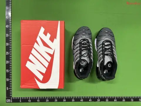 Nike Air Max Plus TN Running Shoes -1