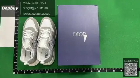 Dior B25 Runner BD Batch