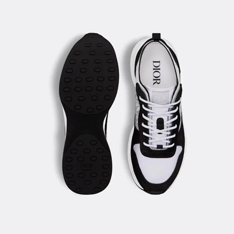 Dior B25 Runner GZ Batch