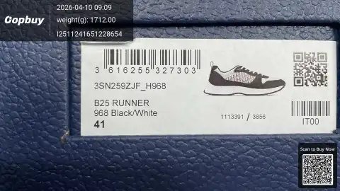 Dior B25 Runner GZ Batch -3