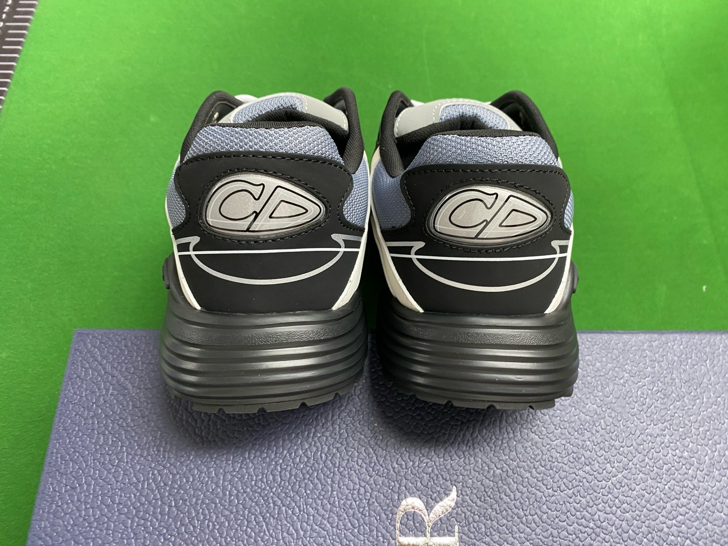 Dior B30 DG Batch -1