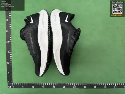 Air Zoom Pegasus 38 BF Batch -5