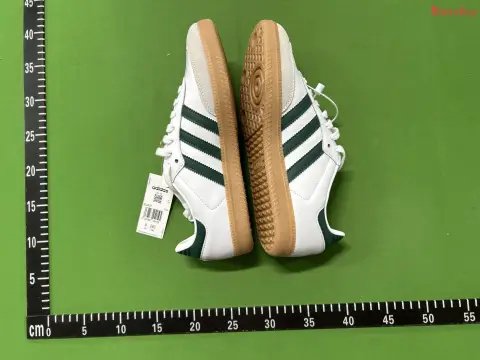 Samba and Gazelle XC Batch -2